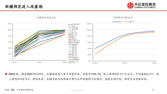 【棉花纺谈】供应端阶段性缩量 疆棉基差坚(🐫)挺